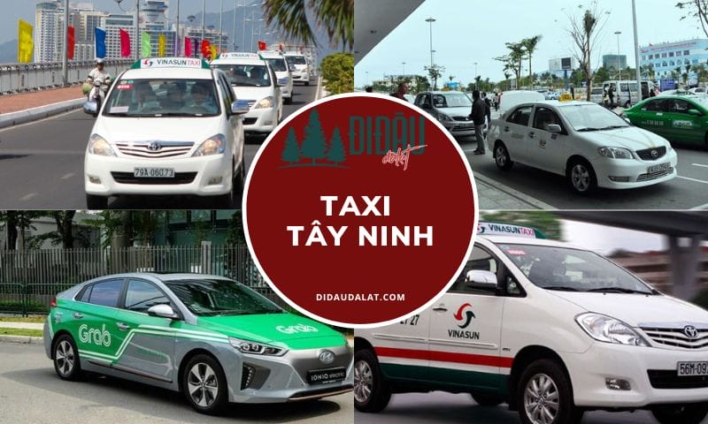 Top 5 hãng taxi Tây Ninh có chất lượng cao và giá cả hợp lý