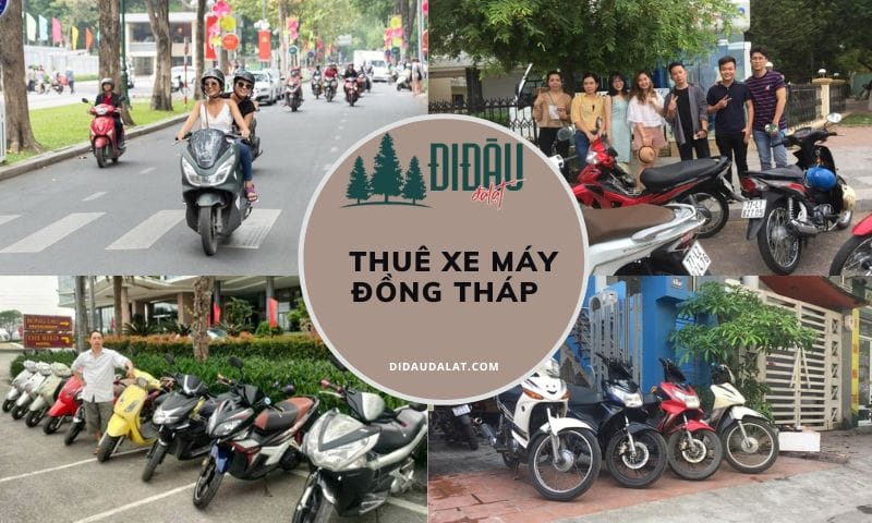 Tổng hợp 8 địa chỉ thuê xe máy Đồng Tháp kèm giá cước đầy đủ
