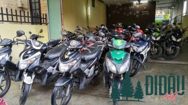 Thuê xe máy Đường tỉnh 636