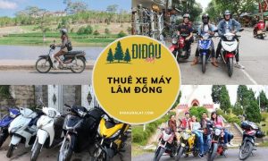Thuê xe máy Lâm Đồng