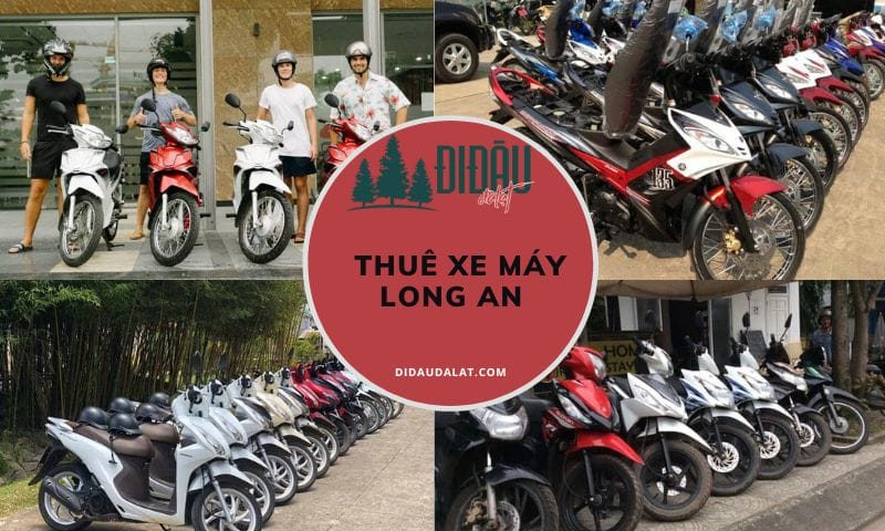 5 địa chỉ thuê xe máy Long An đảm bảo mới, an toàn cho du khách