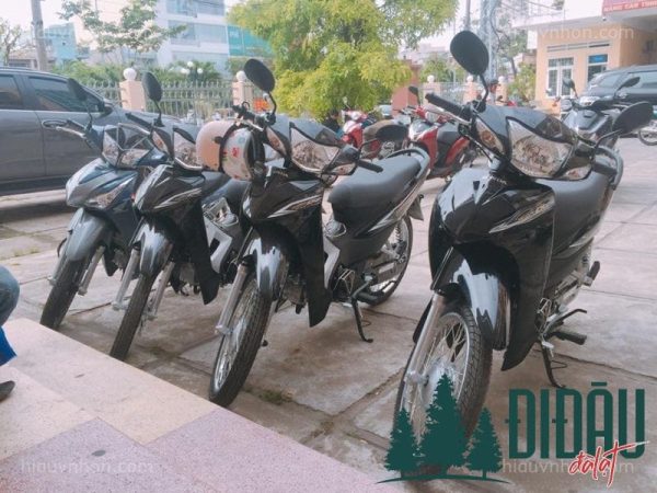 Thuê xe máy MOTO 3 miền Quy Nhơn
