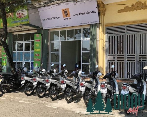 Thuê xe máy MOTOGO