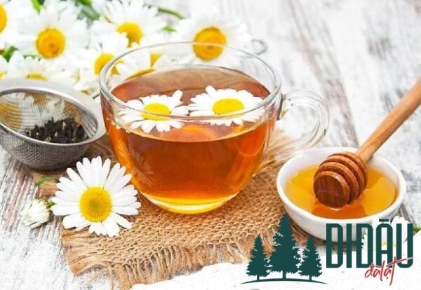 Trà hoa cúc mật ong