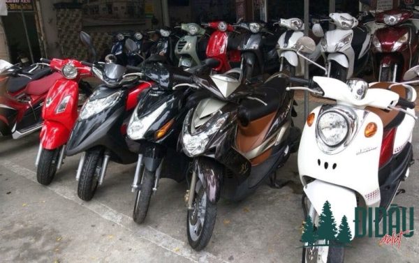 Triển Lê 