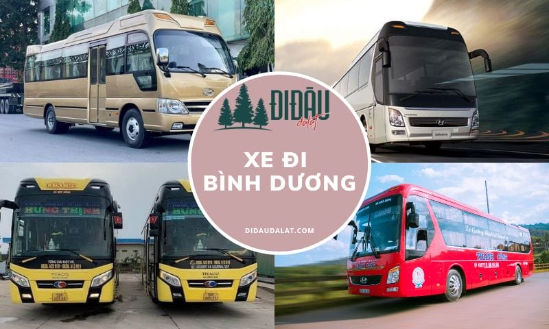 Top 6 xe đi Bình Dương có chất lượng tốt, đang hoạt động hiện nay