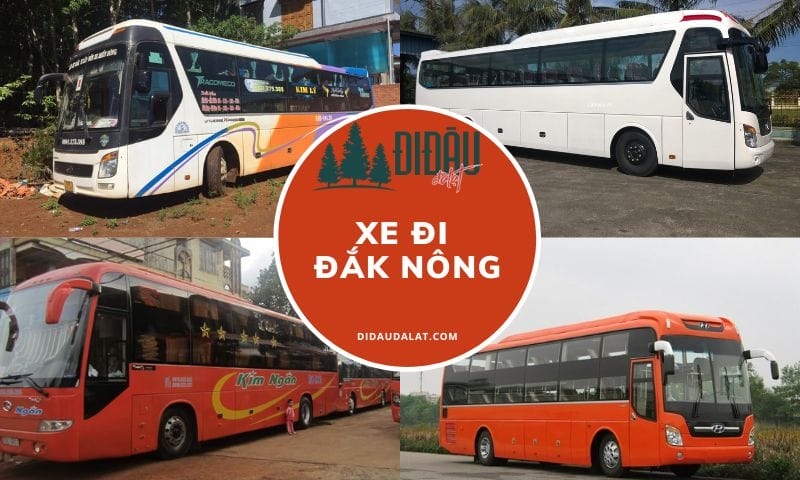 Top 20 xe đi Đắk Nông giá rẻ 24h kèm lịch trình chở khách chi tiết