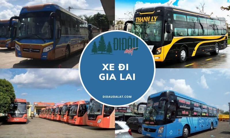 Top 11 xe đi Gia Lai uy tín cập nhật mới nhất hiện nay