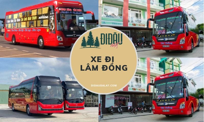 Top 8 xe đi Lâm Đồng giá rẻ, chất lượng đáng tin cậy hiện nay
