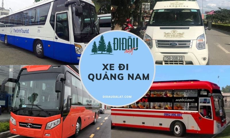 Top 10 xe đi Quảng Nam an toàn, chu đáo trên mọi nẻo đường