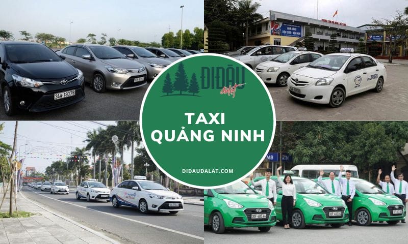 Tổng hợp 11 hãng taxi Quảng Ninh bạn cần biết trước khi đi du lịch