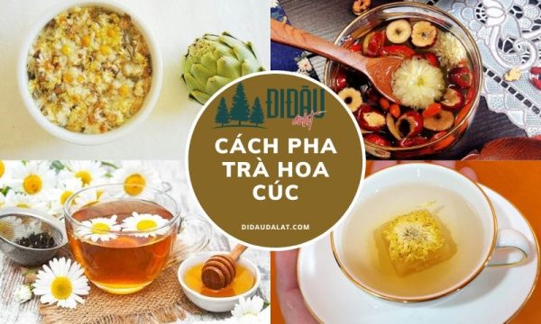 trà hoa cúc