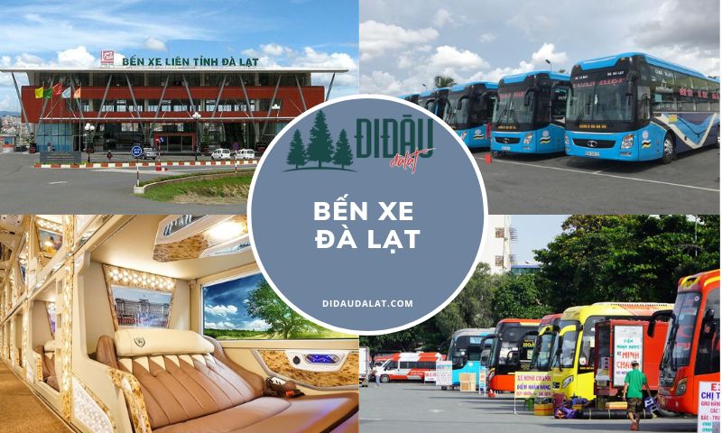 Bến Xe Đà Lạt – Thông tin liên hệ và lịch trình di chuyển