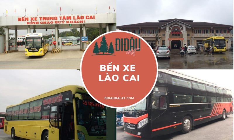 Bến Xe Lào Cai – Thông tin liên hệ và lịch trình di chuyển