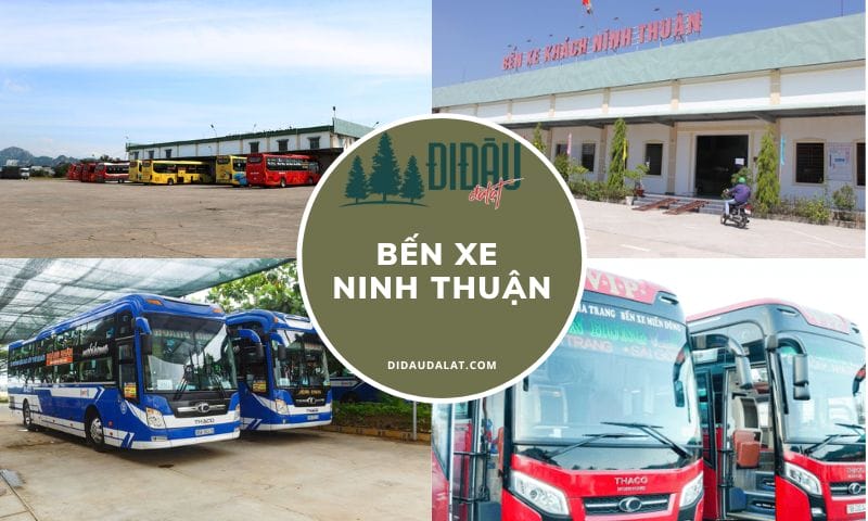 Bến Xe Ninh Thuận – Thông tin liên hệ và lịch trình di chuyển