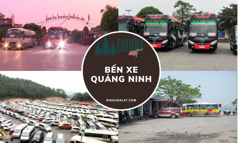 Bến Xe Quảng Ninh – Thông tin liên hệ và lịch trình di chuyển