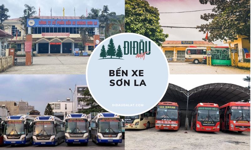 Bến Xe Sơn La – Thông tin liên hệ và lịch trình di chuyển