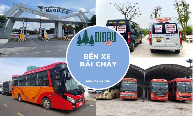 Bến xe Bãi Cháy – Thông tin liên hệ và lịch trình di chuyển