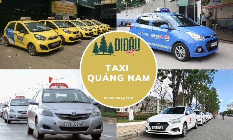 Tổng hợp hãng xe taxi Quảng Nam phổ biến nhất hiện nay