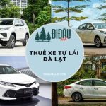 Thuê xe tự lái Đà Lạt