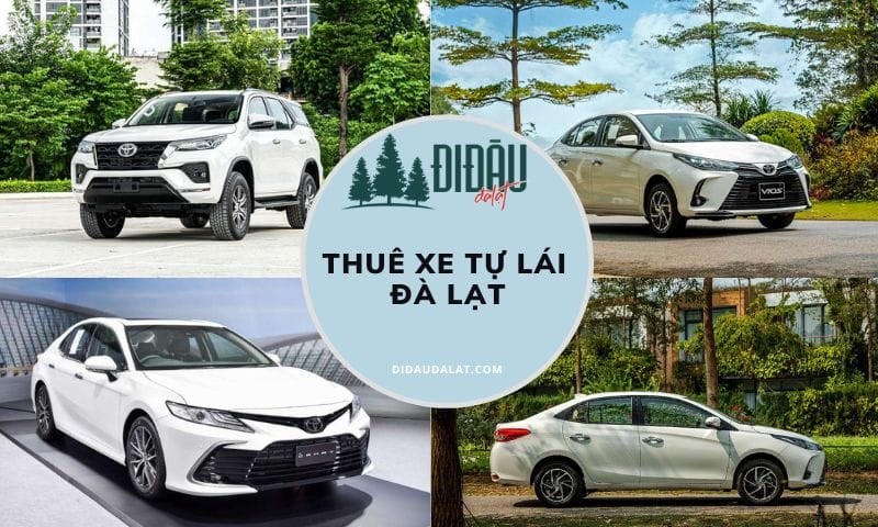 Tổng hợp 10 địa chỉ thuê xe tự lái Đà Lạt giá cả phải chăng