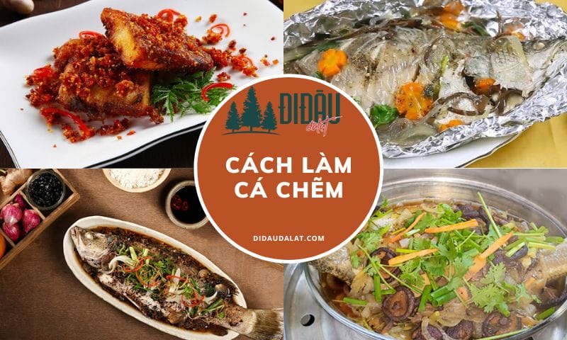 Cách làm món cá chẽm ngon miệng dễ làm từ các đầu bếp tại gia