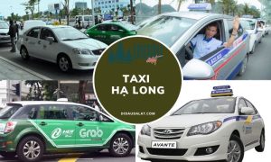 Taxi Hạ Long