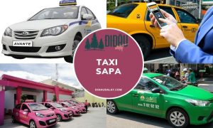 Taxi Sapa