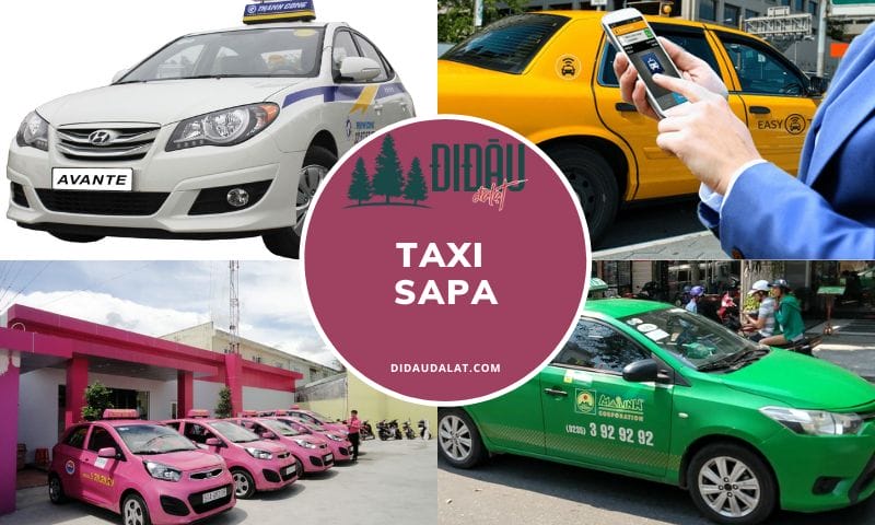 Tổng hợp 15 hãng taxi Sapa đang hoạt động tại thị trấn mới nhất hiện nay