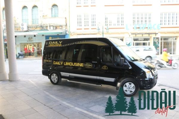 Xe Daily Limousine