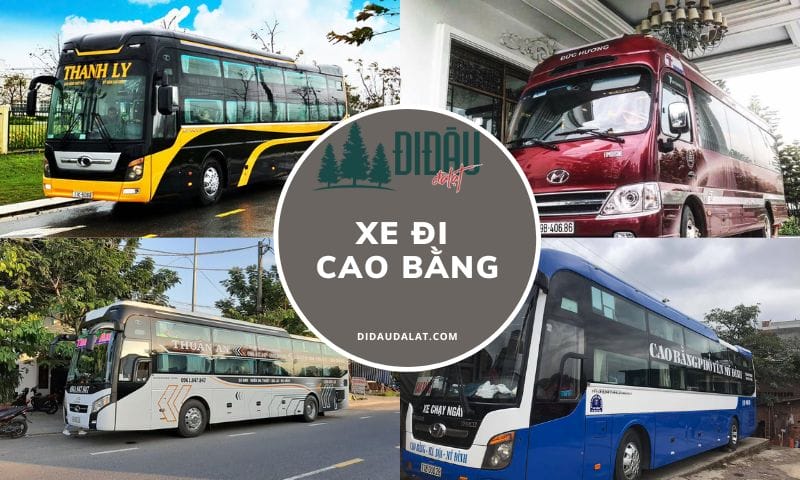 Top 8 xe đi Cao Bằng ghế ngồi êm đáng trải nghiệm nhất hiện nay