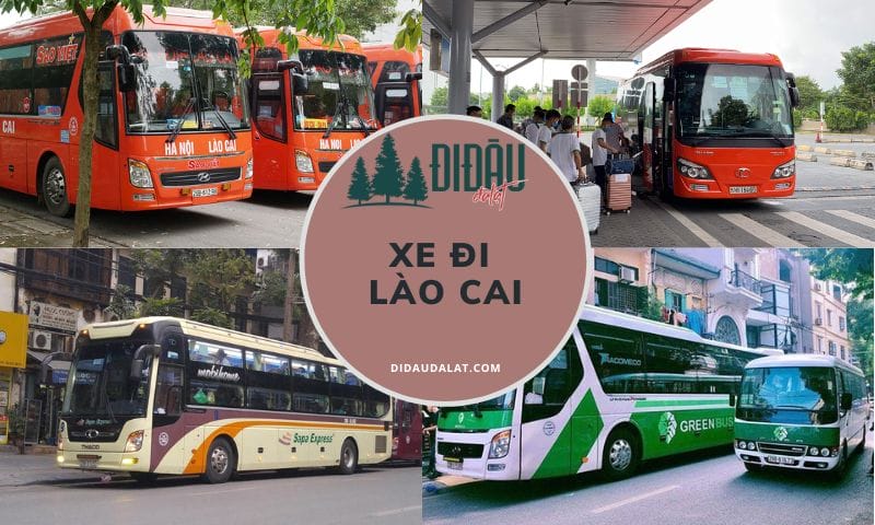 Top 7 xe đi Lào Cai cao cấp được nhiều hành khách lựa chọn nhất