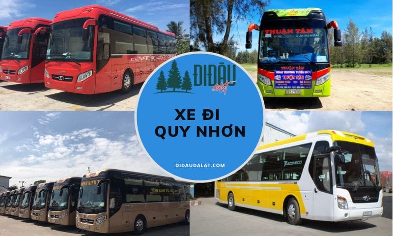 Top 20 xe đi Quy Nhơn dịch vụ tốt, chất lượng cao