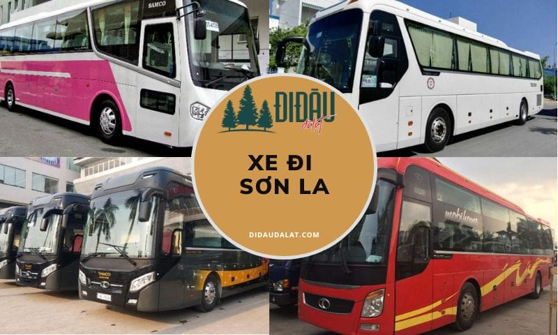 Danh sách xe đi Sơn La được tìm kiếm nhiều nhất hiện nay