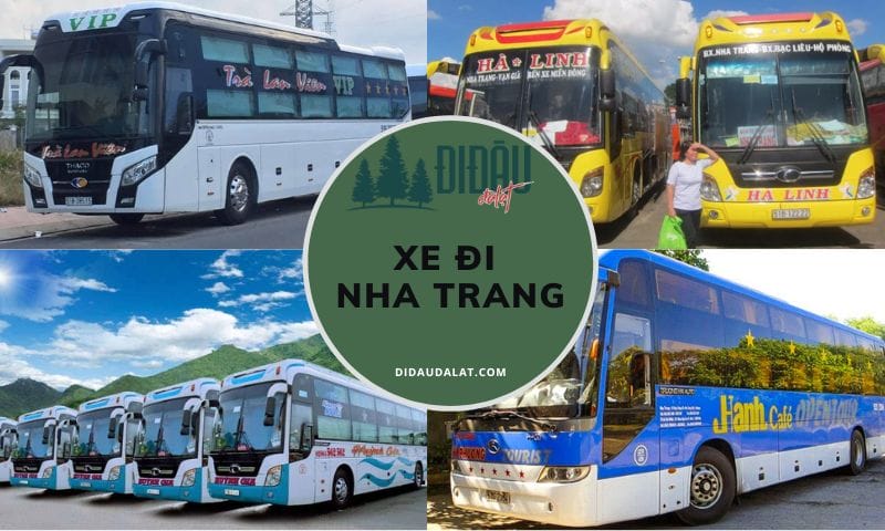 Tổng hợp xe đi Nha Trang an toàn và uy tín dành cho bạn