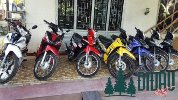365 Bikes