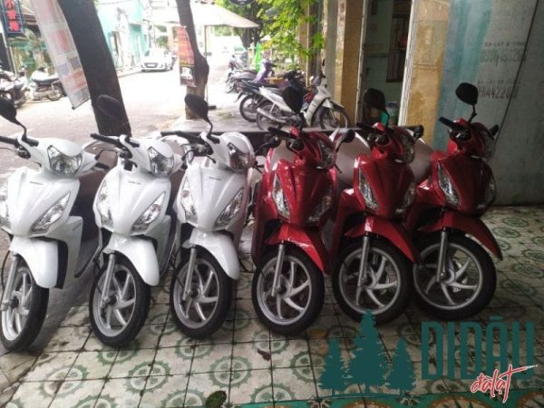 Bé Bảy