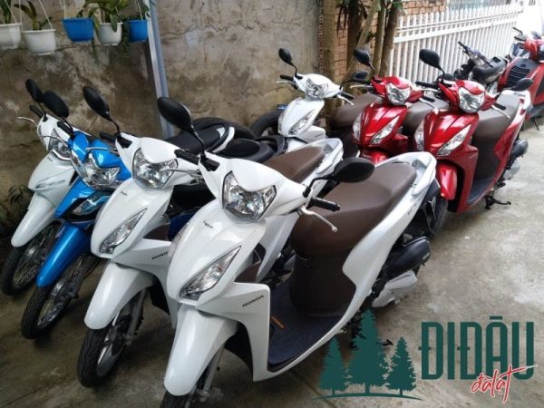 Công ty CP dịch vụ và thương mại Ánh Phát
