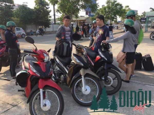 Công ty Hoa Muống Biển