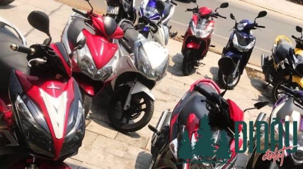 Công ty TNHH MTV Tích Hợp Năng Động