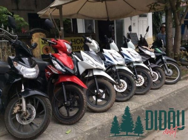 Công ty Thương mại Dịch vụ Du lịch Kiên Giang