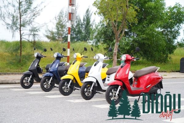 Công ty dịch vụ vận tải Thân Thiện