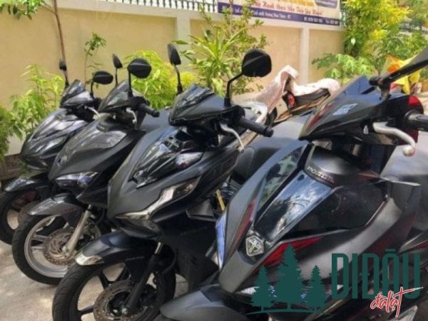 Cty TNHH Du Lịch San Hô Việt