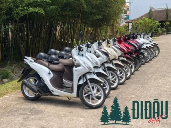 Cửa hàng Bách Diệp
