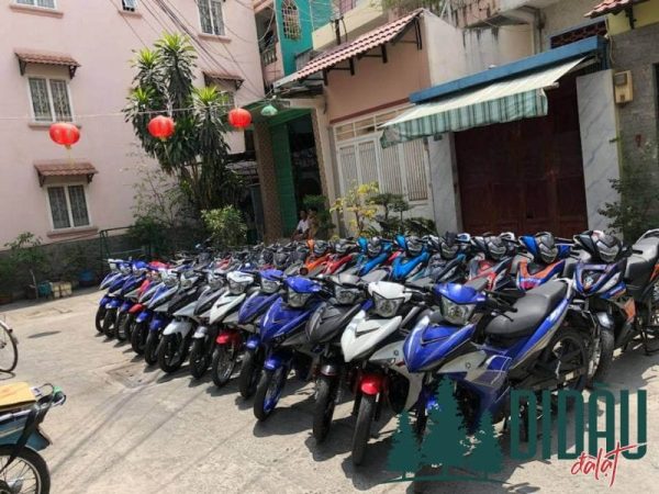 Cửa hàng Đồ Sơn