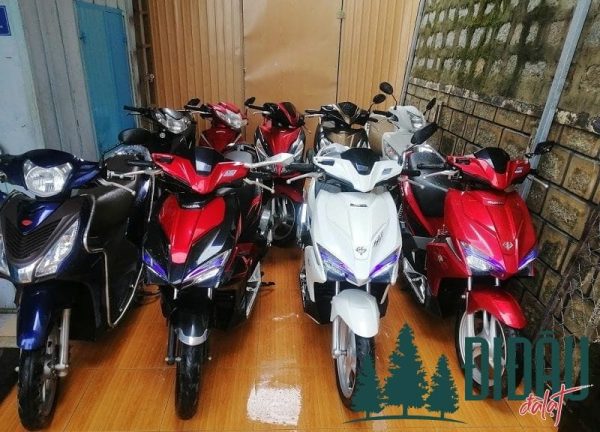 Cửa hàng Lương Văn Hiệu