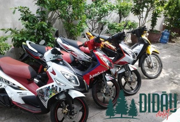 Cửa hàng Mr Bưởi