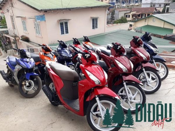 Cửa hàng Quỳnh Như