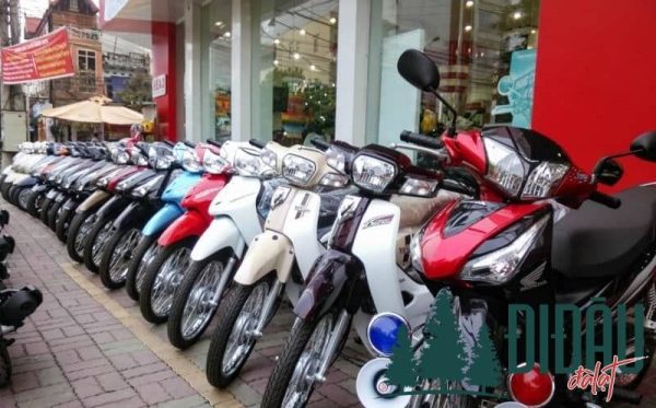 Cửa hàng cho thuê xe máy tại Pleiku, Gia Lai