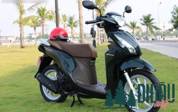Dịch vụ 24H